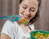   Photo: Shutterstock