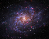   Photo: Shutterstock