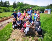 Des participants dans les jardins communautaires.  &mdash; Rosie AuCoin-Grace