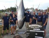 Le 16e Tournoi de thon de Wedgeport s’est terminé le samedi 24 août. Cette année, le festival a réalisé ses objectifs : des activités pour plaire à tous les goûts; une participation croissante de la part des compétiteurs et des spectateurs; une pêche lucrative et une météo agréable pour ces genres d’activités. Dans la photo : l’Équipe gagnante du plus gros thon du 16e Tournoi de thon 2019 sont les pêcheurs du Provider VII. Le capitaine était Camille Jacquard, et les membres de l’équipage étaient : Falon LeBlanc, Floyd LeBlanc, Matthew Corporon, Charles Jacquard, Kevin Burr et Victor LeBlanc. Le thon rouge pesait 684 livres et cette équipe a mérité la Coupe Milton J. LeBlanc. &mdash; Norbert LeBlanc