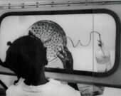 Fabrication du vaccin contre la variole en Afrique de l’Ouest. &mdash; D. Henrioud, Organisation mondiale de la santé; source : World Health, mai 1980, p. 8-9