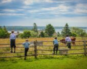 Des jeunes lors du Camp d’été au Village en 2017. &mdash; www.facebook.com/villageacadien/