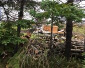 On s’affaire à nettoyer des restants d’arbres et des vestiges d’une remise, complètement détruite par ces gros arbres déracinés. &mdash; Robert Fougère