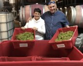 Marlene et Jean Guy d’Entremont avec la récolte de leurs raisins. &mdash; Gracieuseté