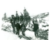 Chaque année pendant de nombreuses années, Paulite Roach et trois de ses enfants partaient en forêt afin de choisir le bon sapin.  &mdash; Gracieuseté