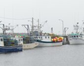 Les bateaux de la pêche aux homards au quai Breakwater à Wedgeport le 7 décembre 2020. &mdash;  Norbert LeBlanc