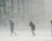 Un spectacle courant au début des tempêtes de vent. Il est temps de se mettre à l’abri. &mdash; Rosie Aucoin-Grace