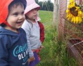 Un potager, un des projets communautaires.   &mdash; Lucien Comeau