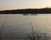 Entrainement du 15 avril 2021 de la DDBA sur le lac Banook à Dartmouth. &mdash;  Cathy Simon