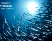 Waves of Change: aidez à mettre fin à la surpêche avec Ocean Wise Seafood &mdash; Courtoisie Ocean Wise