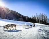 Catherine Pinard a pratiqué le mushing – la compétition sportive de course de chiens de traineau – activement pendant plus de huit ans. &mdash; Courtoisie – Archives L’Aurore boréale