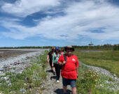 Visite guidée dans le Petit Bois avec Danny Blinn &mdash; PHOTO - Local Tour
