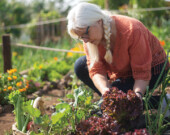 La diversité végétale est l’une des bonnes pratiques à mettre en œuvre pour que légumes et insectes cohabitent dans les potagers.
 &mdash; PHOTO - Pexels