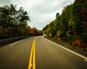   PHOTO - Tim Foster - Unsplash