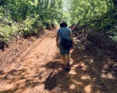 À l’Île-du-Prince-Édouard, l’Acadienne Anne Gallant fait découvrir sa forêt nourricière. Des centaines de plantes sauvages comestibles sont à portée de cueillette.  &mdash; PHOTO - Marine Ernoult — Francopresse 