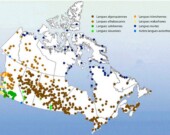 En 2016, 228 765 personnes parlaient une langue autochtone à la maison.  &mdash; PHOTO - Statistique Canada, Recensement de la population de 2016