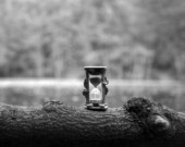   PHOTO : Şahin Sezer Dinçer - Unsplash