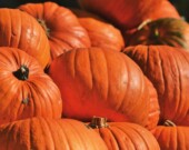 Si elles sont bien conservées, les citrouilles peuvent rester au congélateur durant six mois. 
 &mdash; PHOTO : Raph – Pexels