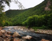   PHOTO : Association du saumon de la rivière de Chéticamp - Facebook 