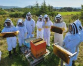 Les élèves de l'École NDA de Chéticamp découvrent l’univers des abeilles. 
 &mdash; PHOTOS : De gracieuseté - CSAP