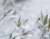   PHOTO : Laura Adai - Unsplash