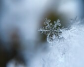   PHOTO : Aaron Burden - Unsplash