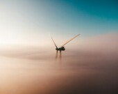   PHOTO : Sander Weeteling - Unsplash