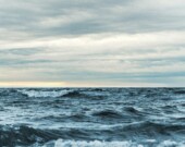   PHOTO: Ant Rozetsky - Unsplash