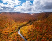 Paysage boisé.  &mdash; PHOTO: Facebook de Nova Scotia