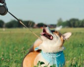   PHOTO: Deny Hill - Unsplash
