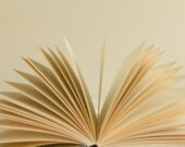   PHOTO: Olga Tutunaru - Unsplash
