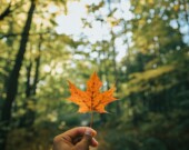   PHOTO: Ravi Patel - Unsplash
