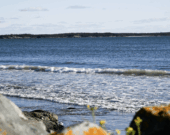 L’ile de Cap-LaHave à l’horizon.  &mdash; PHOTO: Nicolas Jean
