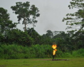 Sources de polluants très nocifs, des «mechero », ou torchères de puits de pétrole, se dressent un peu partout en Amazonie équatorienne. &mdash; Photo: Diego Tirira; source: https://commons.wikimedia.org/wiki/File:Mechero_09_(17129376929).jpg. Image disponible sous la licence CC BY-SA 2.0.