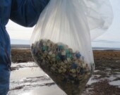 Bandes collectées lors d'une opération de nettoyage des plages organisée par Scotian Shores à Scott's Bay. &mdash; PHOTO: Scotian Shores