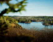   PHOTO: Tim Foster - Unsplash