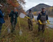 Pêche électrique dans la rivière Chéticamp : personnel de la CRSA et du CBHNP.  