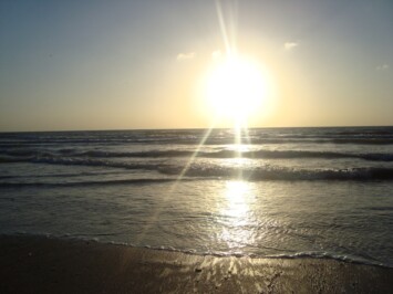 Las alianzas de Irán: descifrado geopolítico