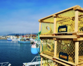 Pour les citoyens de Chéticamp, la pêche au homard est un moment de fierté et de renouveau, où traditions et modernité se rencontrent.  &mdash; Photo: Daniel Aucoin