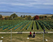 Vignoble Lightfoot et Wolfville.
 &mdash; PHOTO: Facebook-AFV