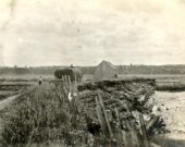 Un aboiteau à Grand-Pré en 1907. &mdash; PHOTO: M.O. Hammond (1876-1934) — Archives publiques de l'Ontario
