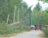The South Nation Conservation Authority has received provincial funding now for cleanup work after the May 2022 windstorm.  — file photo