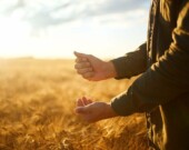 Bulletin des agriculteurs  