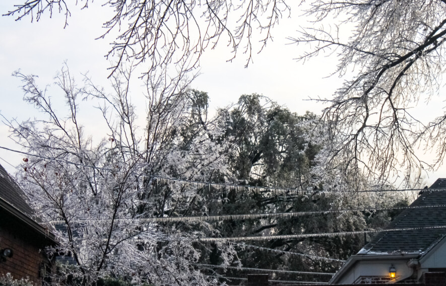 Verglas sur des arbres et des fils électriques  