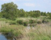 De nombreux agriculteurs et citoyens ont partagé leur inquiétude face aux changements proposés aux délimitations des terres humides.  