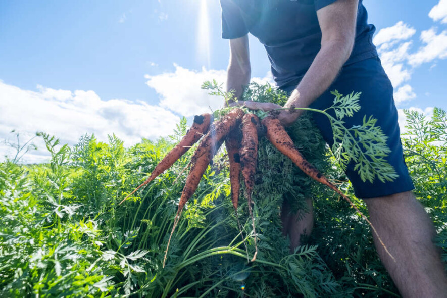 L'agriculture traditionnel arrive à un tournant, selon des chercheurs canadiens.  