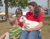 Rien de tel qu'un animal de ferme mignon pour ensoleiller une journée au camp d'été! (Photo Ingénium)  