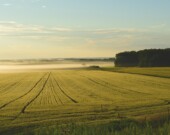 Un peu de répit pour les futurs cultivateurs ontariens.  