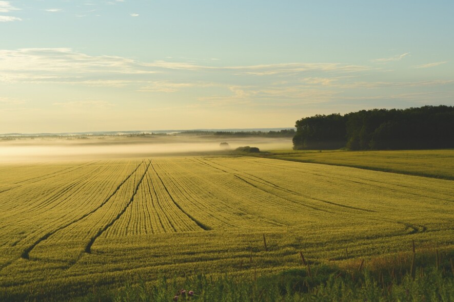 Un peu de répit pour les futurs cultivateurs ontariens.  