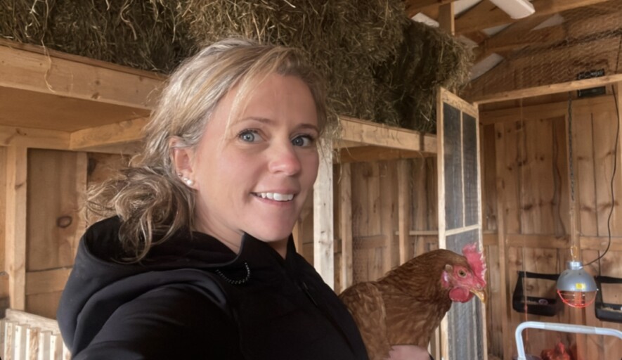Contrairement à l'époque de mes parents, nos poules pondeuses sont davantage un plaisir qu'une nécessité!  